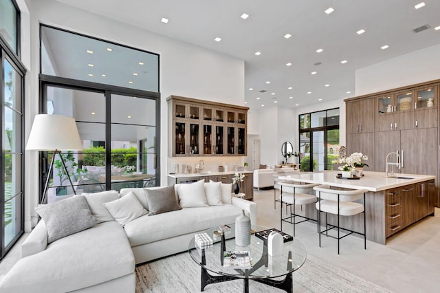 living room featuring plenty of natural light and sink