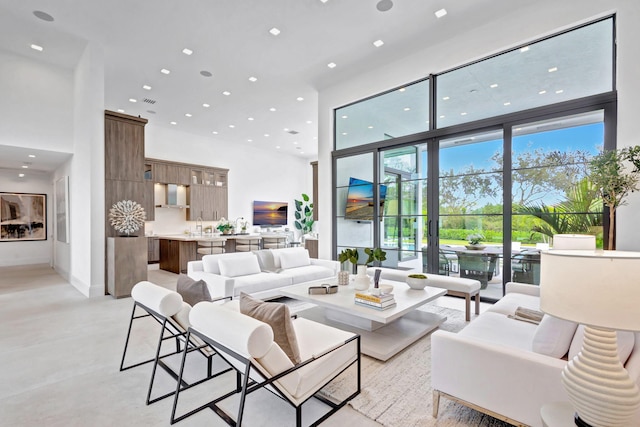 living room with a high ceiling