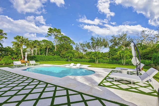 view of pool featuring a lawn and a patio