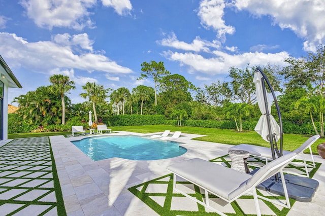 view of pool featuring a patio area and a yard