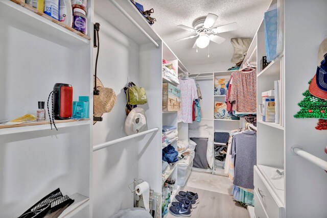 spacious closet featuring ceiling fan