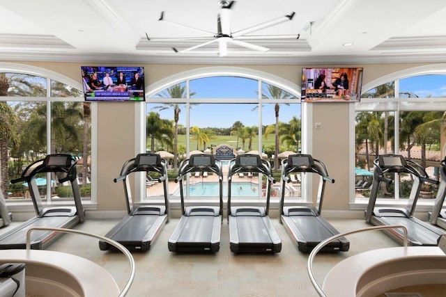 workout area featuring plenty of natural light, a raised ceiling, and ornamental molding