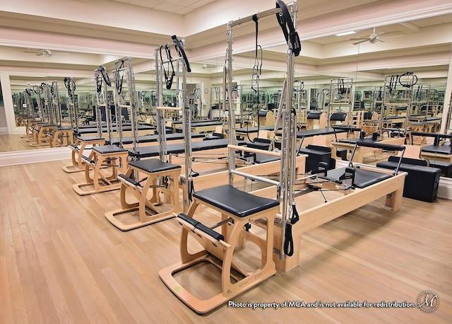 gym featuring hardwood / wood-style floors and ceiling fan