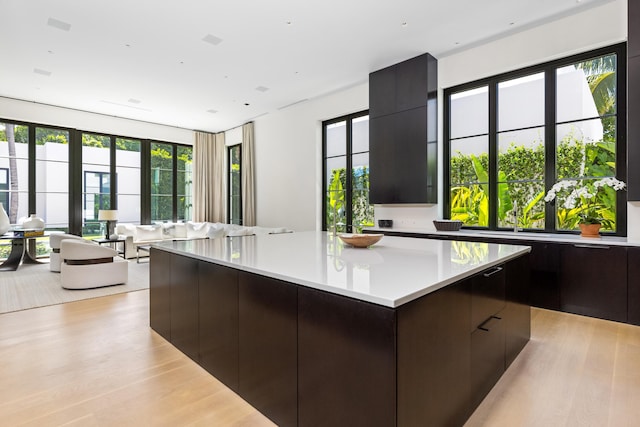 kitchen with light hardwood / wood-style flooring, dark brown cabinetry, a kitchen island, and a wealth of natural light