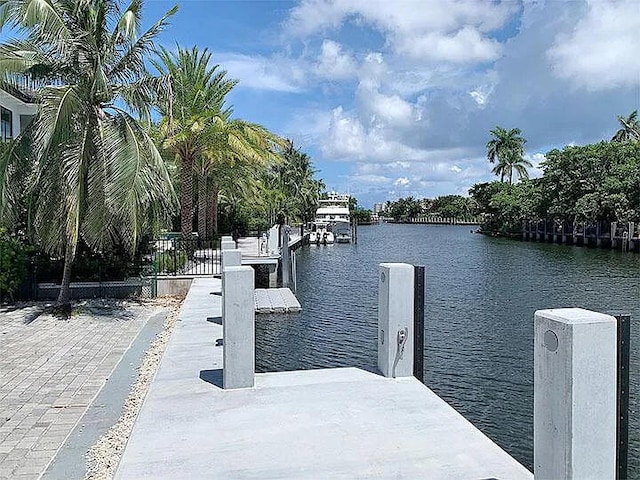 dock area with a water view