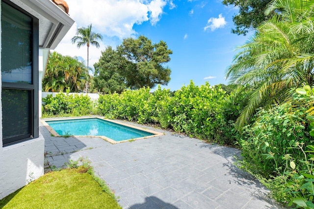 view of swimming pool featuring a patio area