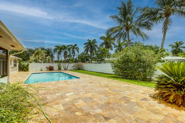 view of pool featuring a patio