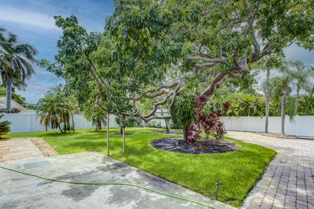 view of yard featuring a patio area