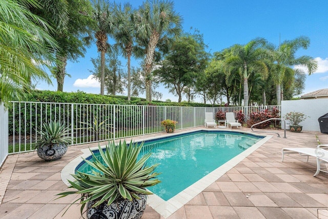 view of swimming pool featuring a patio area