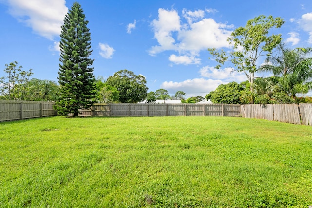 view of yard