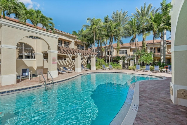 view of swimming pool featuring a pergola and a patio area