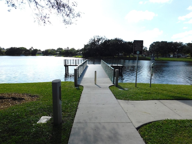 dock area with a water view