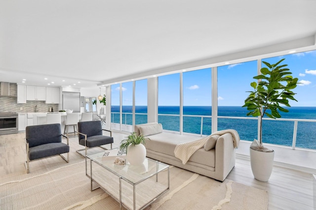 living room with light hardwood / wood-style floors, a healthy amount of sunlight, sink, and a water view