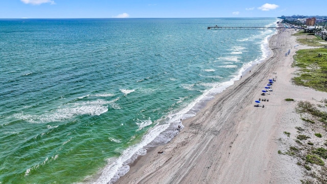 view of water feature featuring a beach view