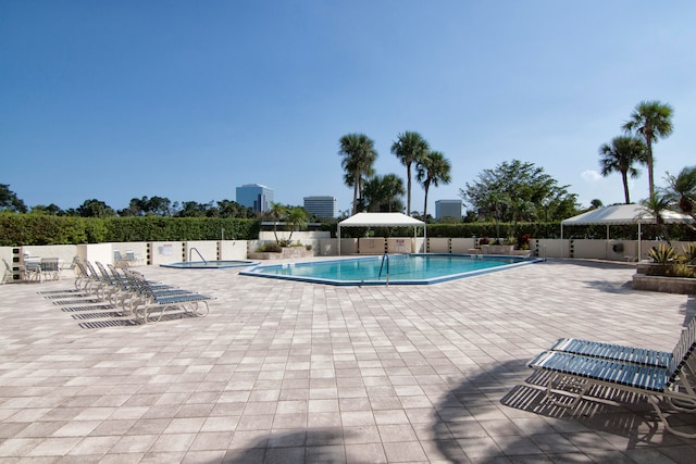 view of pool with a patio