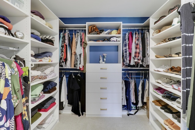 view of walk in closet