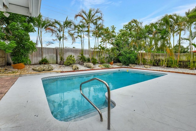 view of pool with a patio area