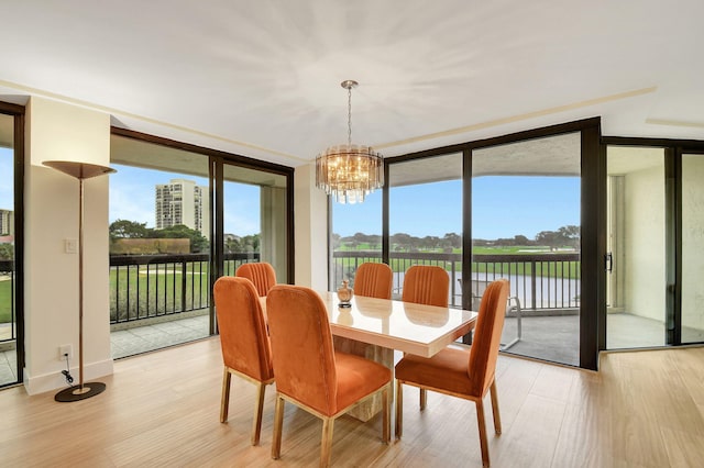 dining area featuring an inviting chandelier, light hardwood / wood-style flooring, a healthy amount of sunlight, and floor to ceiling windows