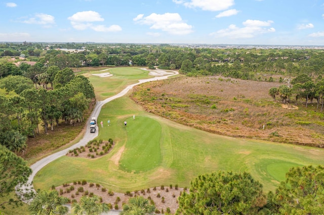 bird's eye view