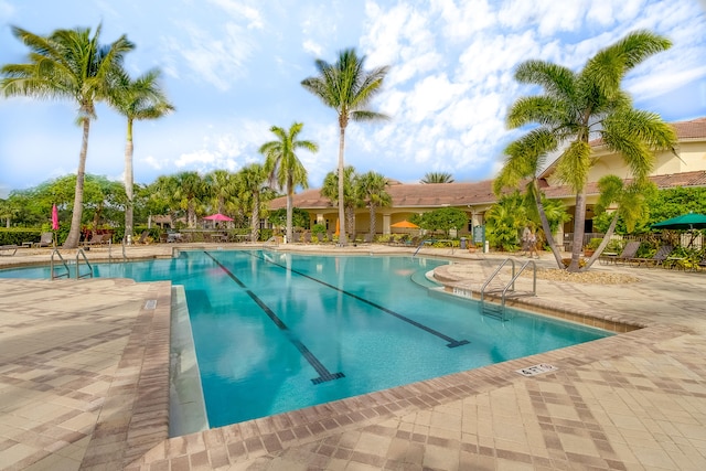 view of pool with a patio area