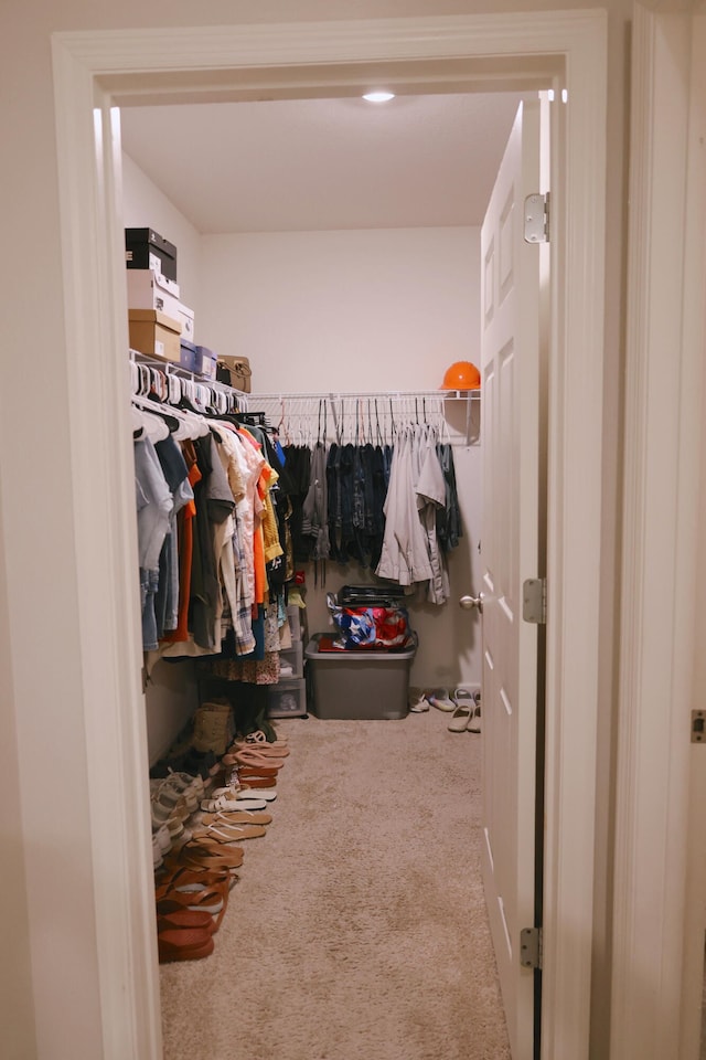 spacious closet with carpet floors