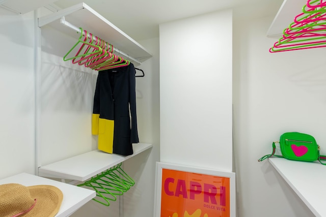 view of walk in closet