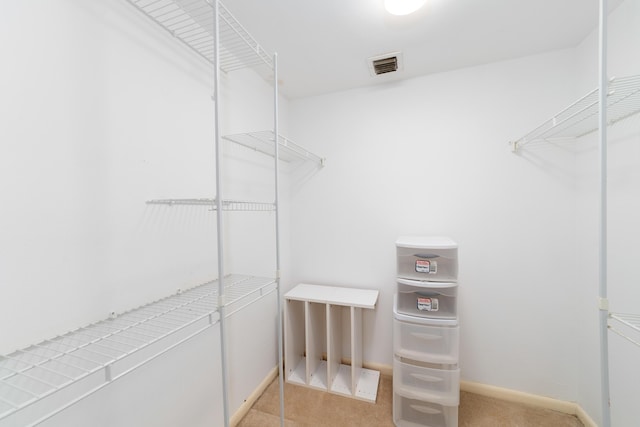 spacious closet with light carpet