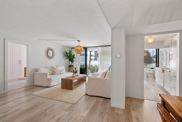 living room featuring a healthy amount of sunlight and light hardwood / wood-style floors