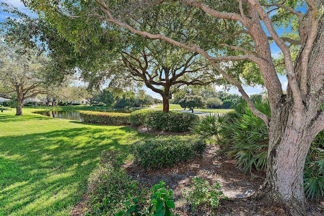 view of yard with a water view