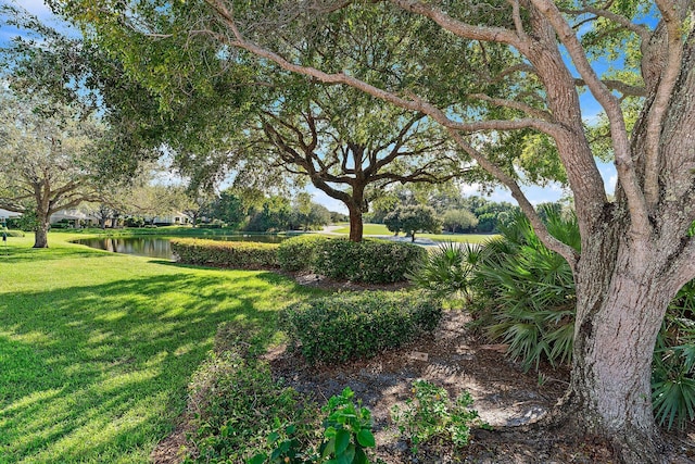 12020 SE Birkdale Run, Jupiter, FL 33469 - view of yard featuring a water view