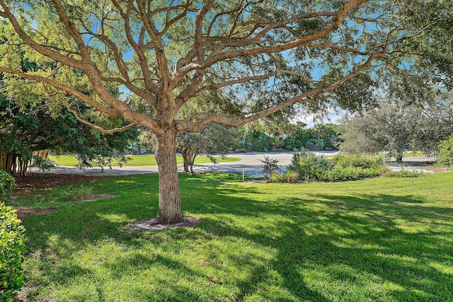 12020 SE Birkdale Run, Jupiter, FL 33469 - view of yard