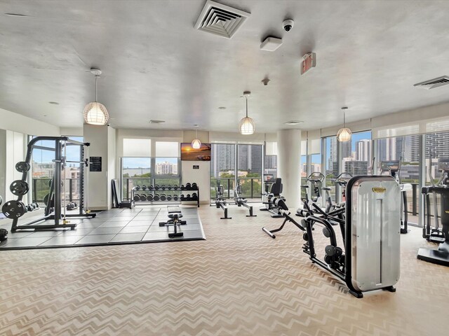 exercise room featuring light carpet