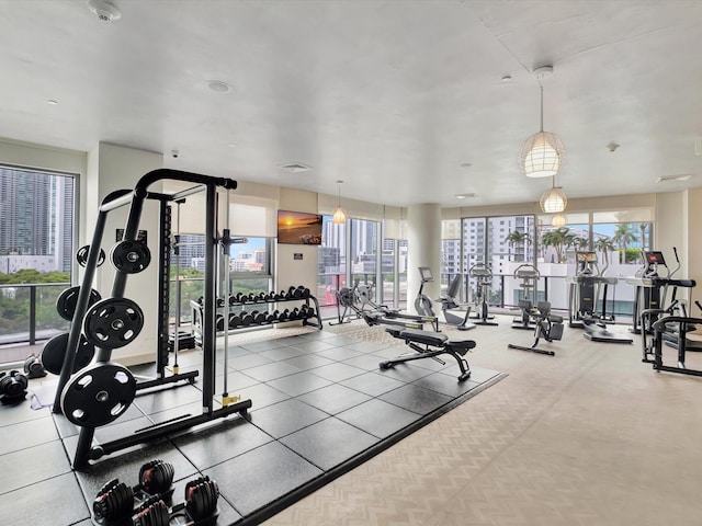 exercise room with plenty of natural light