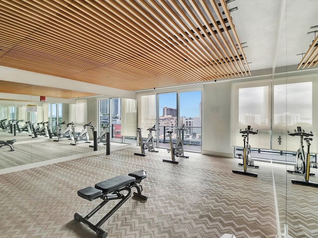 workout area with baseboard heating and carpet floors