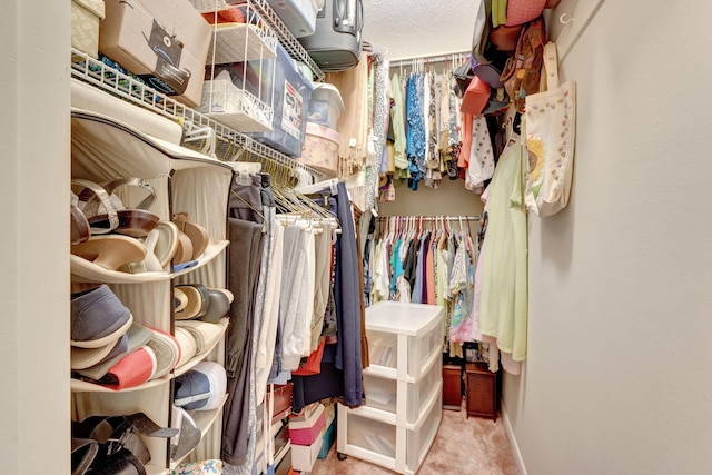 view of walk in closet