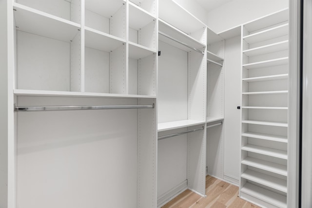 spacious closet with light hardwood / wood-style flooring