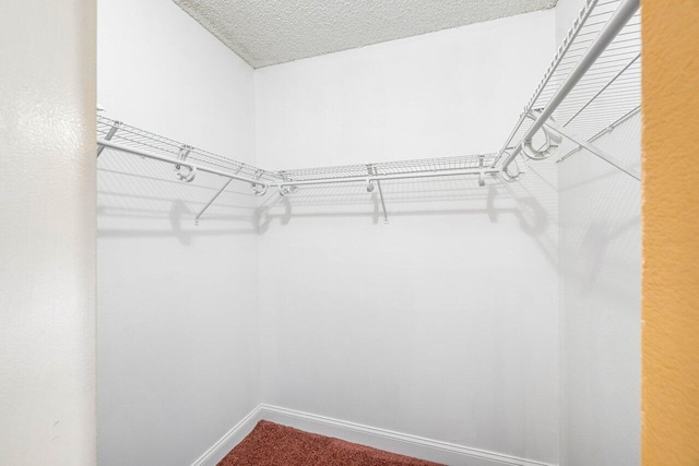 walk in closet featuring carpet flooring