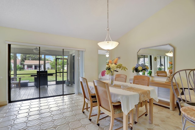 dining room featuring lofted ceiling and a healthy amount of sunlight