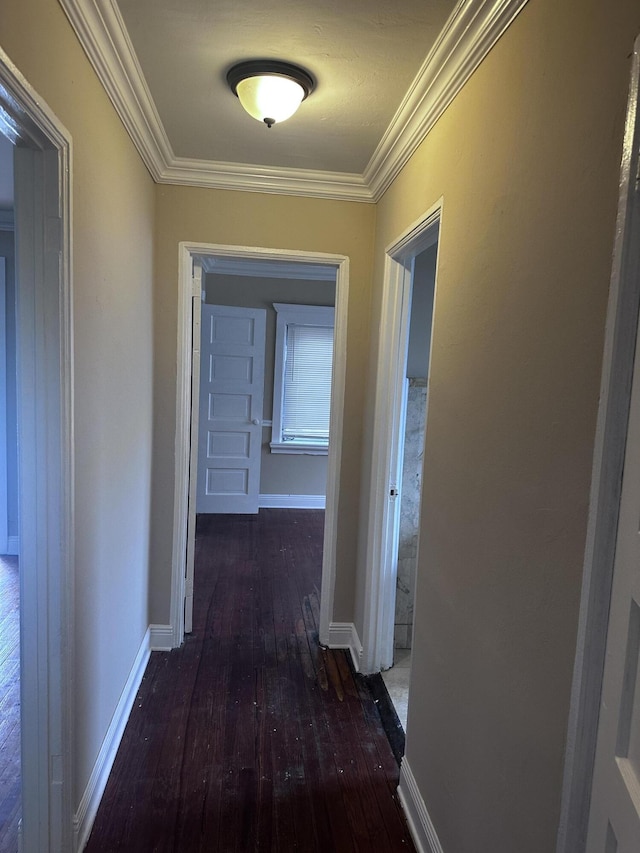 corridor with ornamental molding and dark wood-type flooring