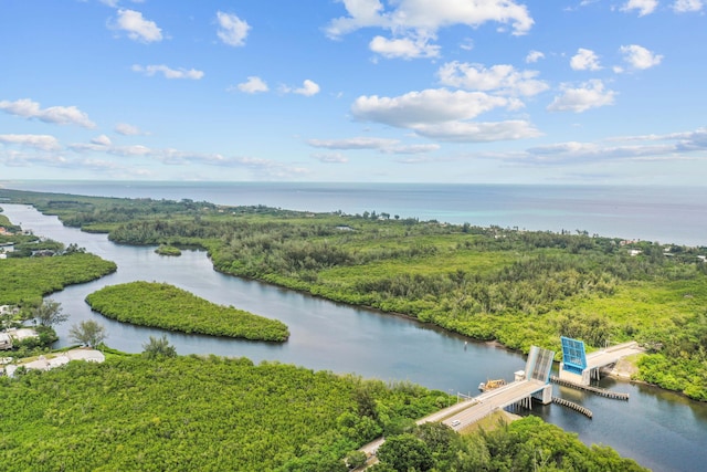 bird's eye view featuring a water view and a view of trees
