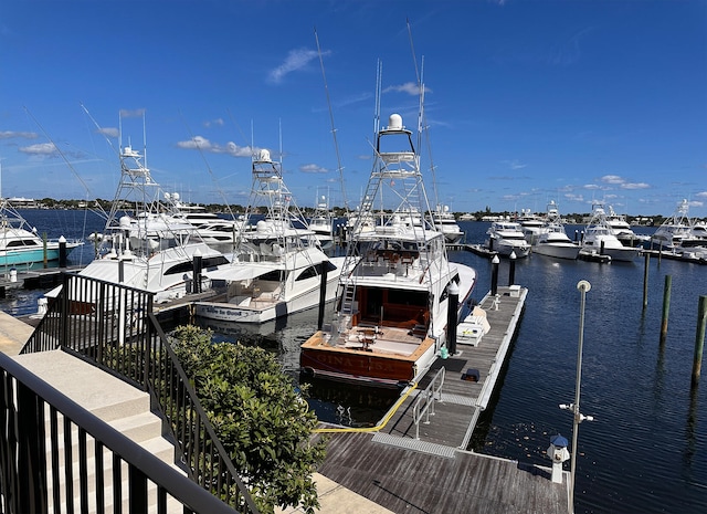 dock area with a water view