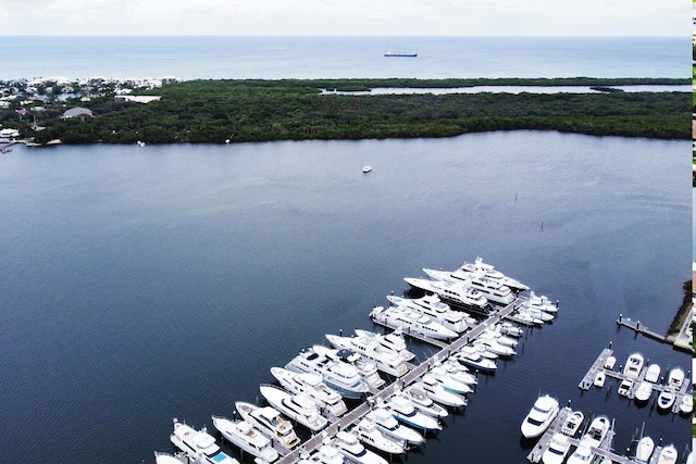 drone / aerial view featuring a water view