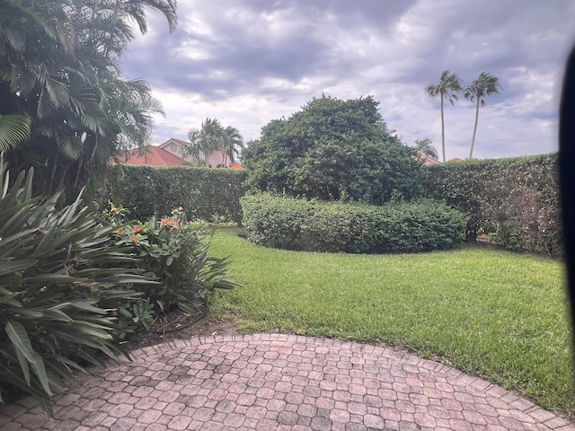 view of yard featuring a patio area