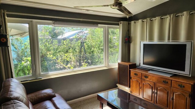 living room with lofted ceiling and ceiling fan