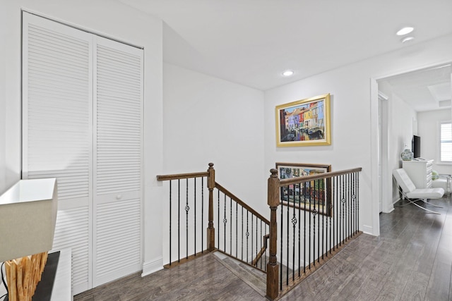 hallway featuring dark hardwood / wood-style flooring