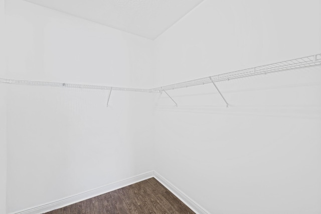 walk in closet with hardwood / wood-style flooring