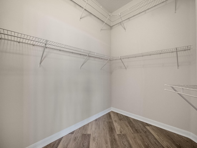 spacious closet featuring wood-type flooring