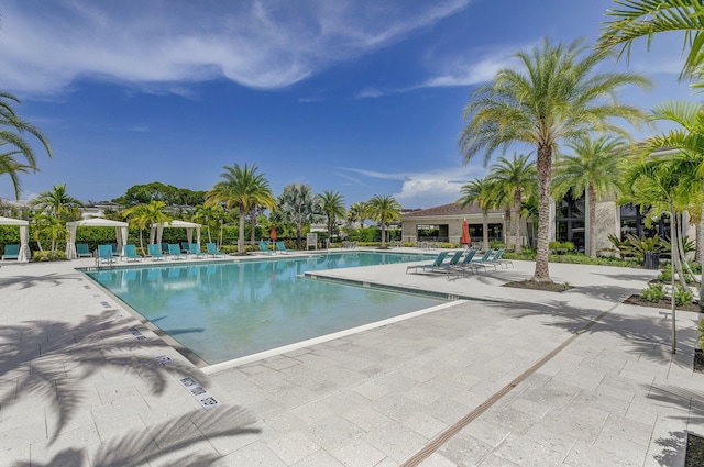 view of swimming pool featuring a patio