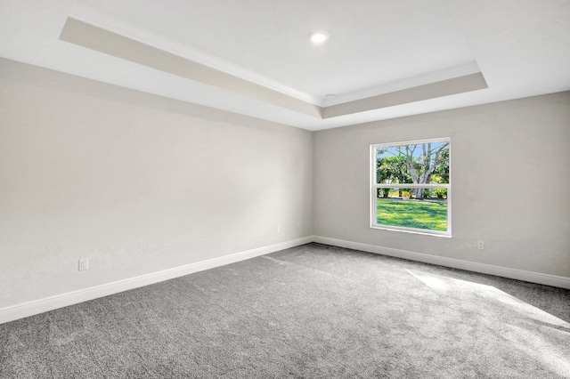 empty room with a raised ceiling and carpet