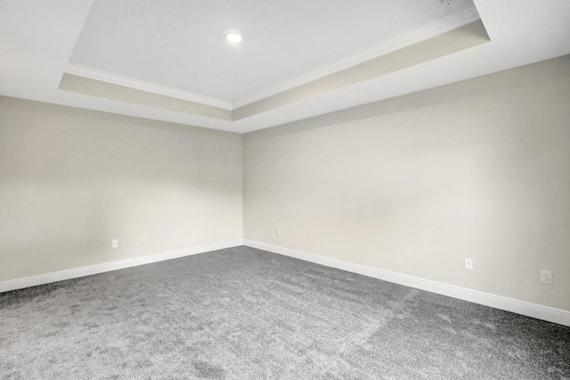 unfurnished room featuring crown molding, a tray ceiling, and carpet floors